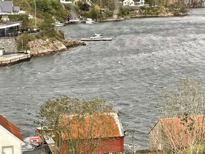 IMG_1012.jpeg