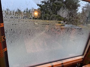 IMG_6477.jpeg