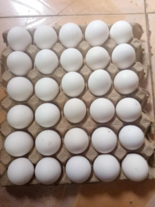 1759574931532.png