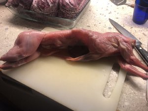 IMG_0560.jpeg