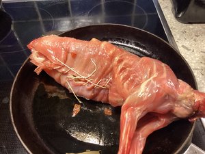 IMG_0391.jpeg