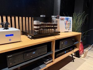 IMG_4958.jpeg