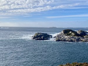 IMG_2091.jpeg