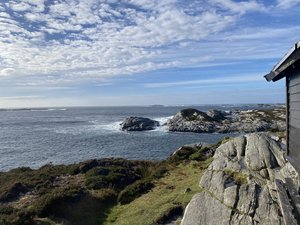IMG_2089.jpeg