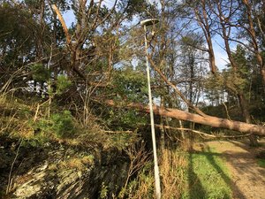 IMG_3069.jpeg