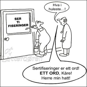Ser Ti Fiseringer.jpg
