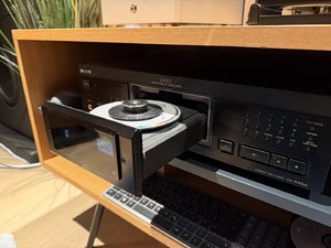 IMG_4955.jpeg