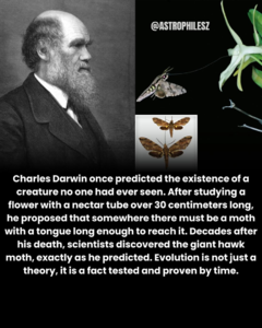 1760024408997.png