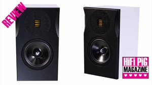 hifipig neatJ-s.jpg