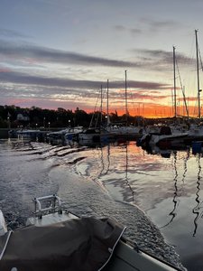 IMG_5498.jpeg