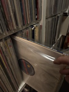 IMG_2552.jpeg