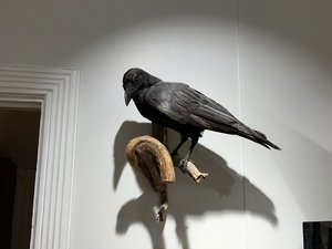 IMG_3582.jpeg