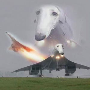 1760175874379.png