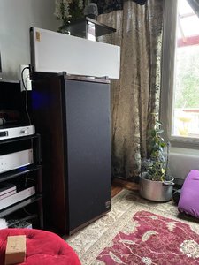 IMG_1772.jpeg