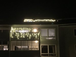 IMG_2432.jpeg