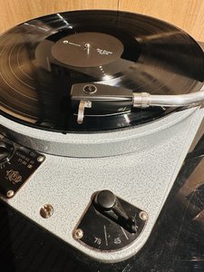 IMG_7061.jpeg