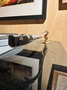 IMG_7055.jpeg
