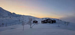 20251122_130316 (1).jpg