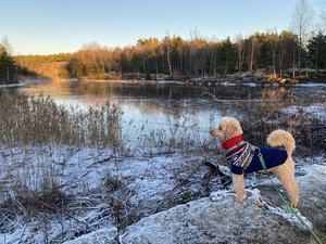 IMG_1397.jpeg
