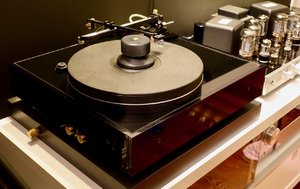 Forsell - 1 (2).jpeg