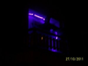 100_2621.jpg