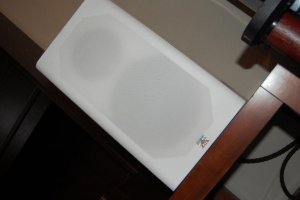 DSC_0876.JPG