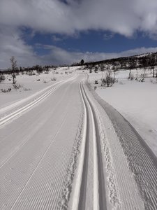 IMG_1174.jpeg