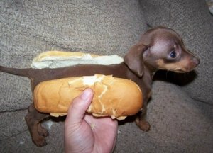 hotdog.jpg