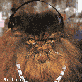 stereocat-hiphop.gif