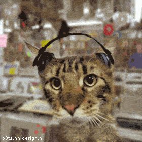 stereocat-house.gif