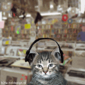 stereocat-steviewonder.gif