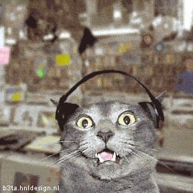 stereocat-techno.gif