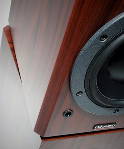 dyn5 (2).jpg