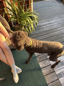 IMG_1863.jpeg