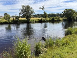 IMG_3731.jpeg