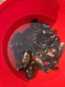 IMG_1901.jpeg