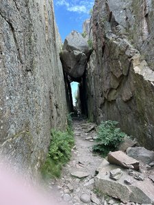 IMG_5528.JPG