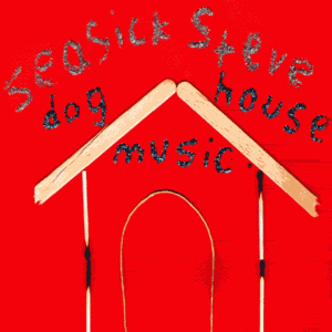 Seasick Steve - Doghouse Music.gif