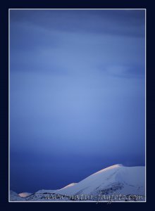 _MG_2224 F BioFoto Januar - Januar 2012 low HFS.jpg