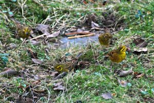 DSC_0116.jpg