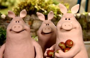 pigs (1).jpg