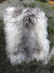 fell3bakside_1164015805.jpg
