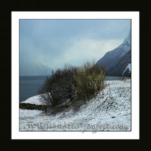 E6EW7548- Fra Viddal ut Hjørundfjorden Curves m ramme hj sida low.jpg