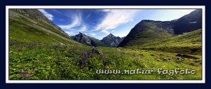 Panorama1 konedalen jakta Low 720 hjemmesida 2 HFS.jpg