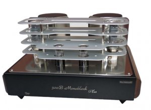 Monoblock 300.jpg