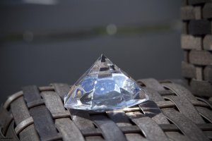 IMG_3731.jpg