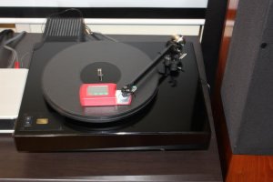 IMG_4570.jpg