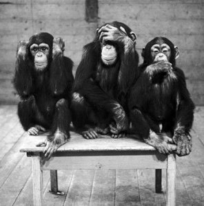 three-wise-monkeys--c11765657_de017b7f.jpg