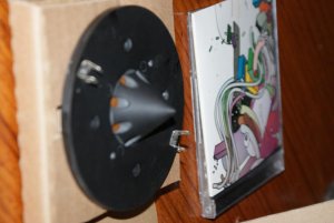 DSC02851.jpg
