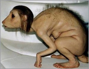 freaked-out-bizzarre-pics-of-creepy-animals-L-j2RMFS.jpg